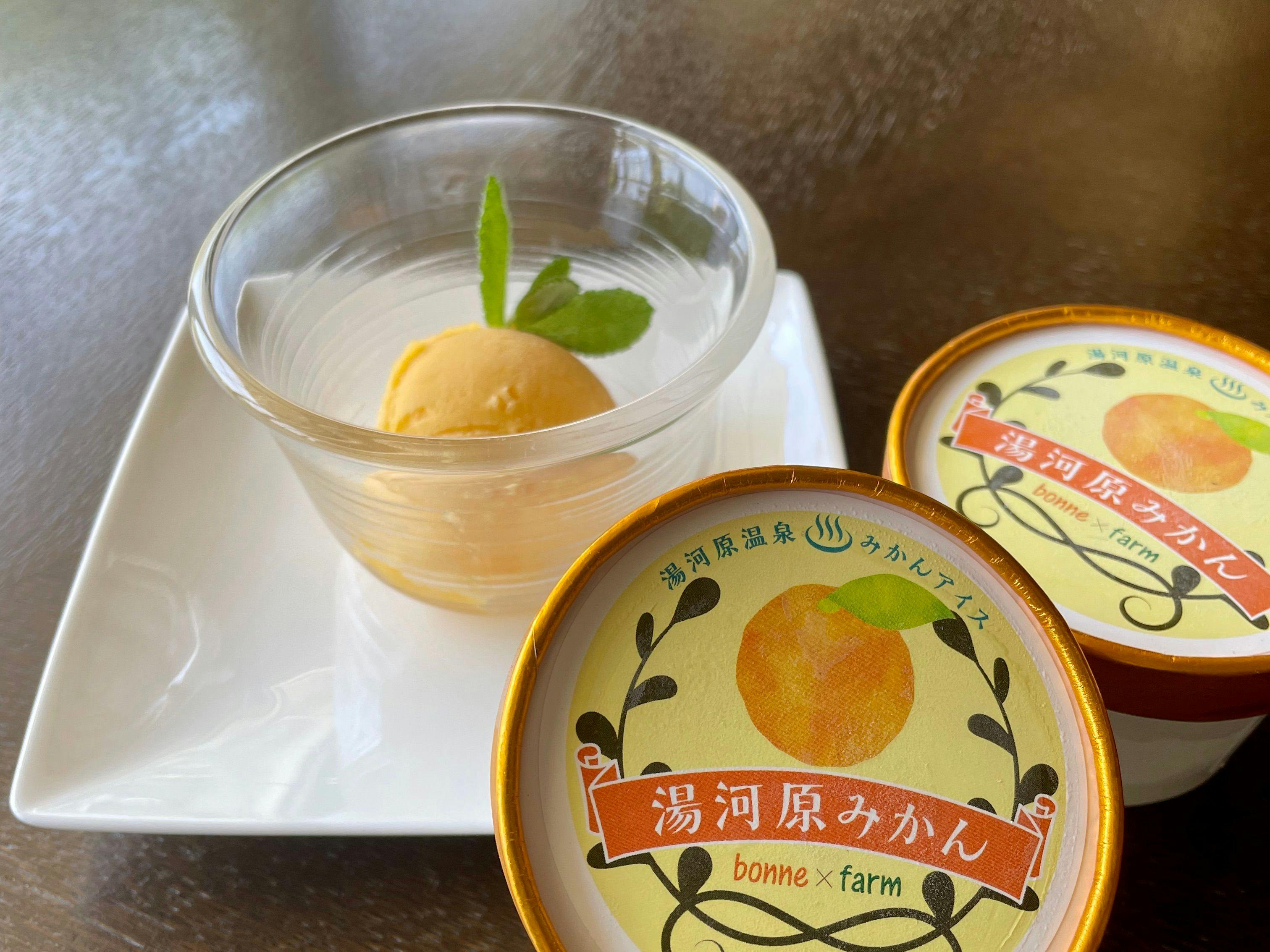 自家採れの湯河原みかんのジェラートアイス