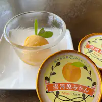 自家採れの湯河原みかんのジェラートアイス