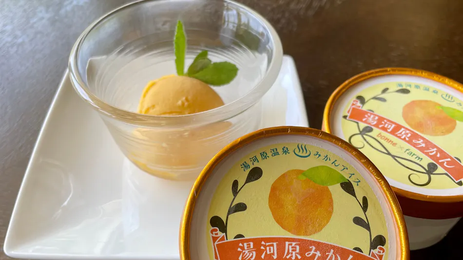 Island, Sea, View - Private Hot Spring on Mikan Hill - Bon Femme