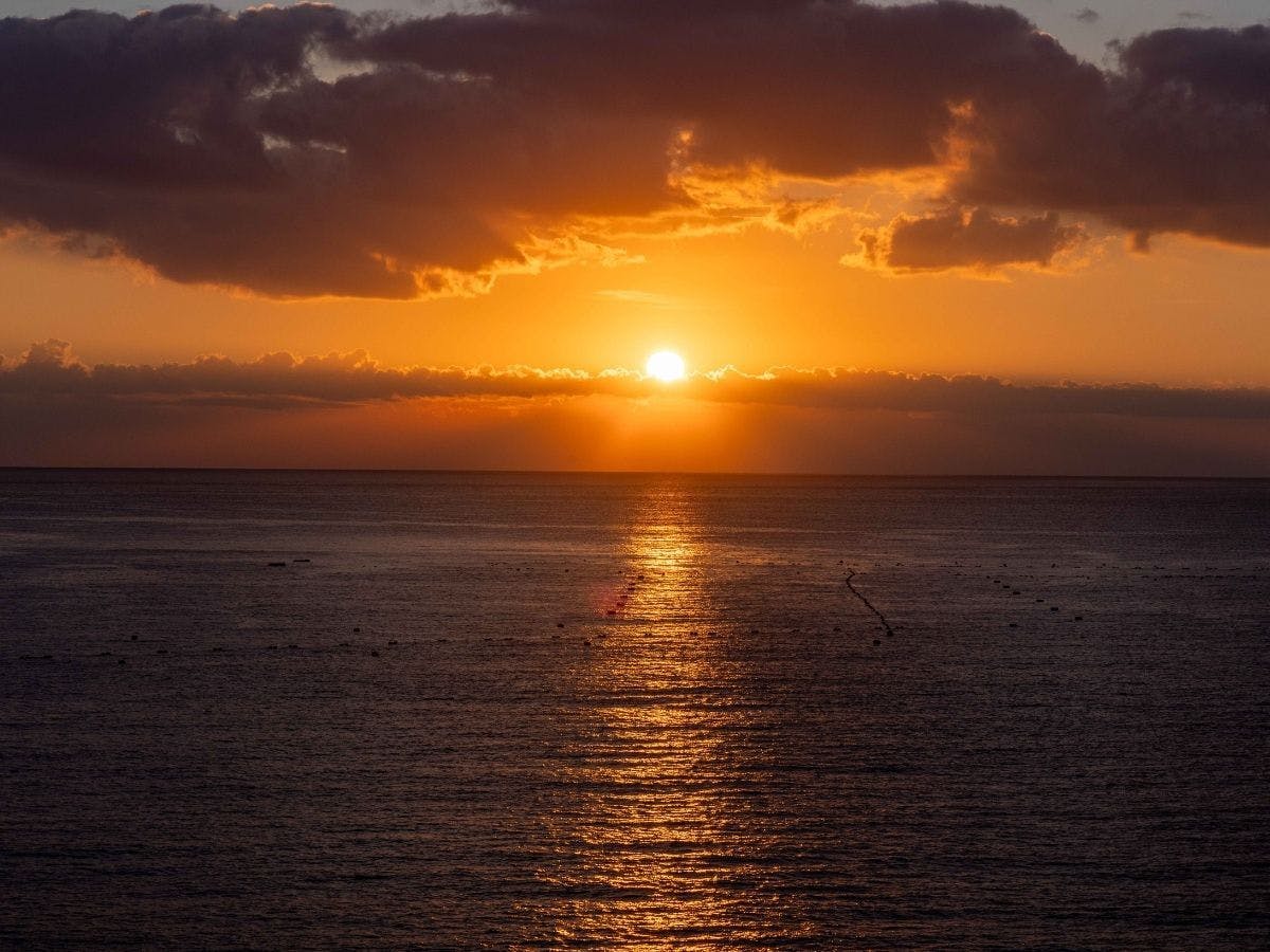 伊豆山温泉 ホテルニューさがみや