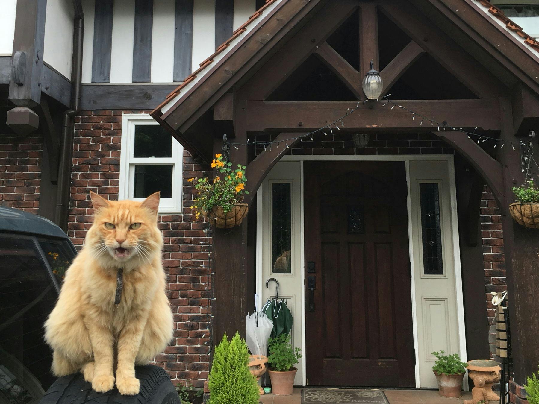 英国カントリーハウス ブルックフィールドファーム の宿泊プラン 予約 Yahoo トラベル