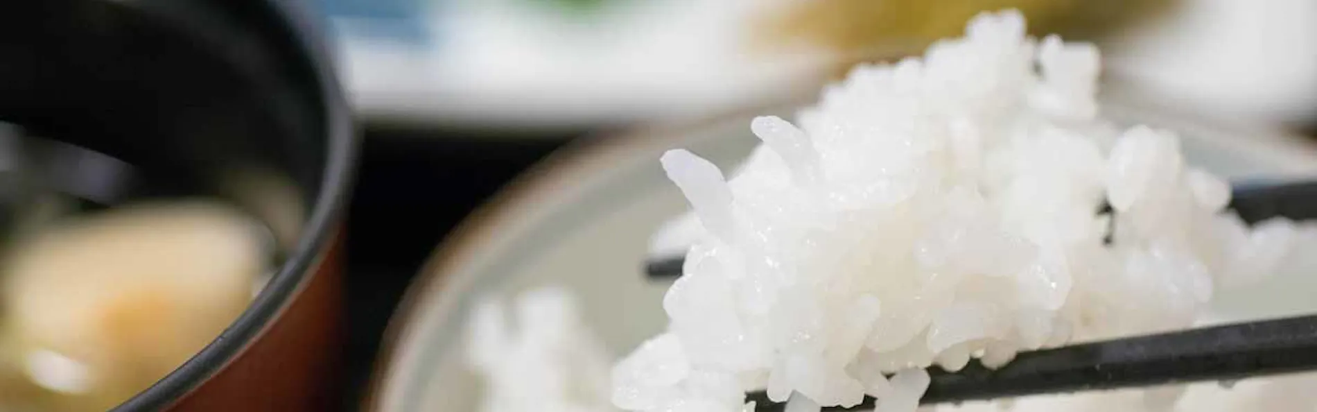 尾瀬かまた宿温泉 水芭蕉乃湯 梅田屋旅館