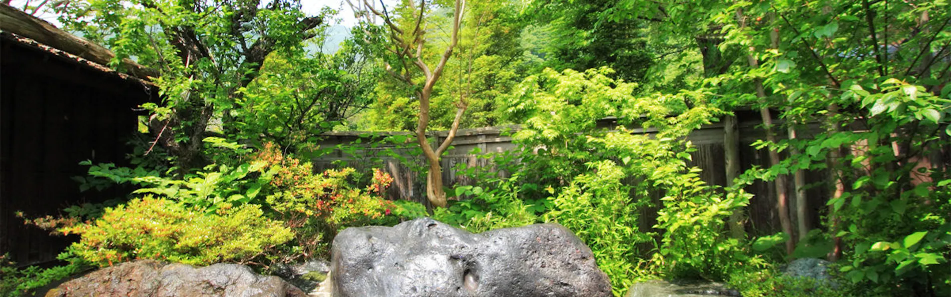 尾瀬かまた宿温泉 水芭蕉乃湯 梅田屋旅館