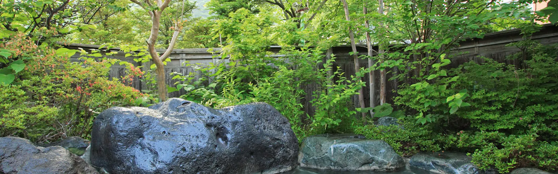 尾瀬かまた宿温泉 水芭蕉乃湯 梅田屋旅館