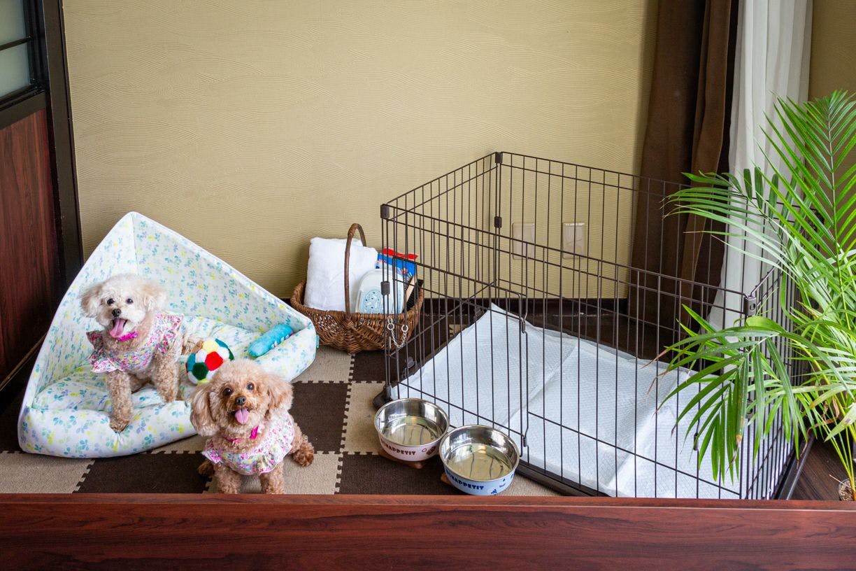 ห้องพักสัตว์เลี้ยง