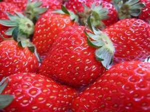 伊豆熱川温泉のいちご