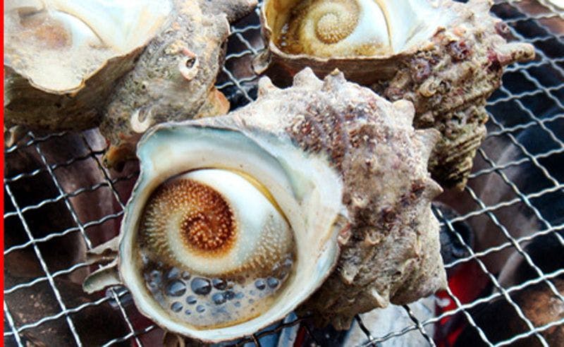 伊豆大島を正面に臨む宿　熱川館