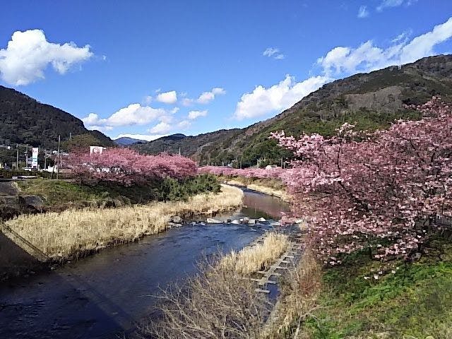 伊豆大島を正面に臨む宿　熱川館