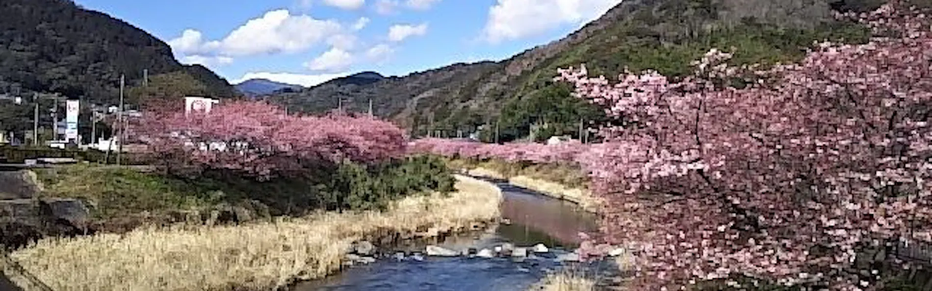 伊豆大島を正面に臨む宿 熱川館