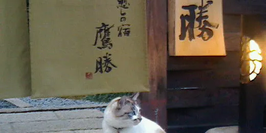 Healing Inn Takakatsu