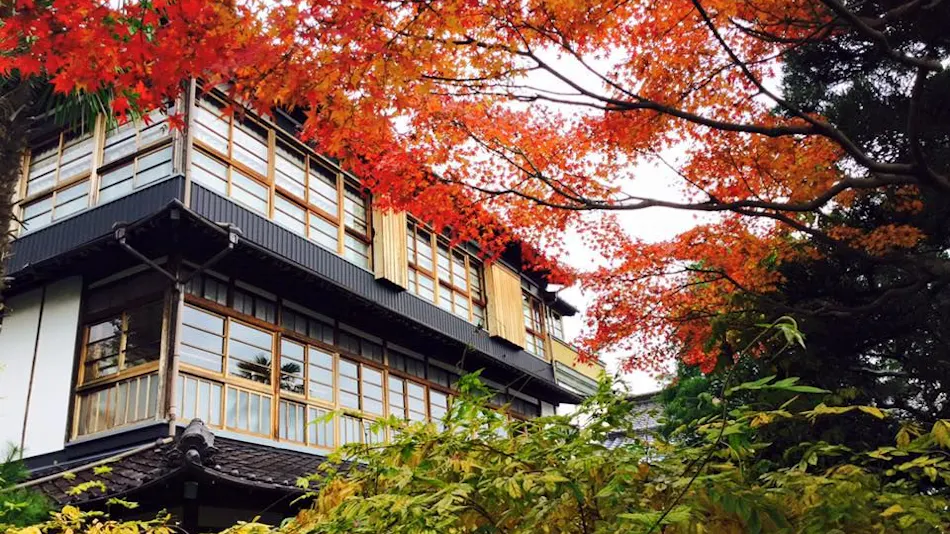 Hakutei Wakanoya