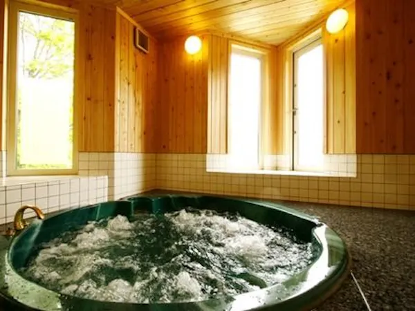 アルペンムード溢れる山岳ホテルに泊まる!貸切温泉と伝統料理を食べ放題【4つ星以上の宿】