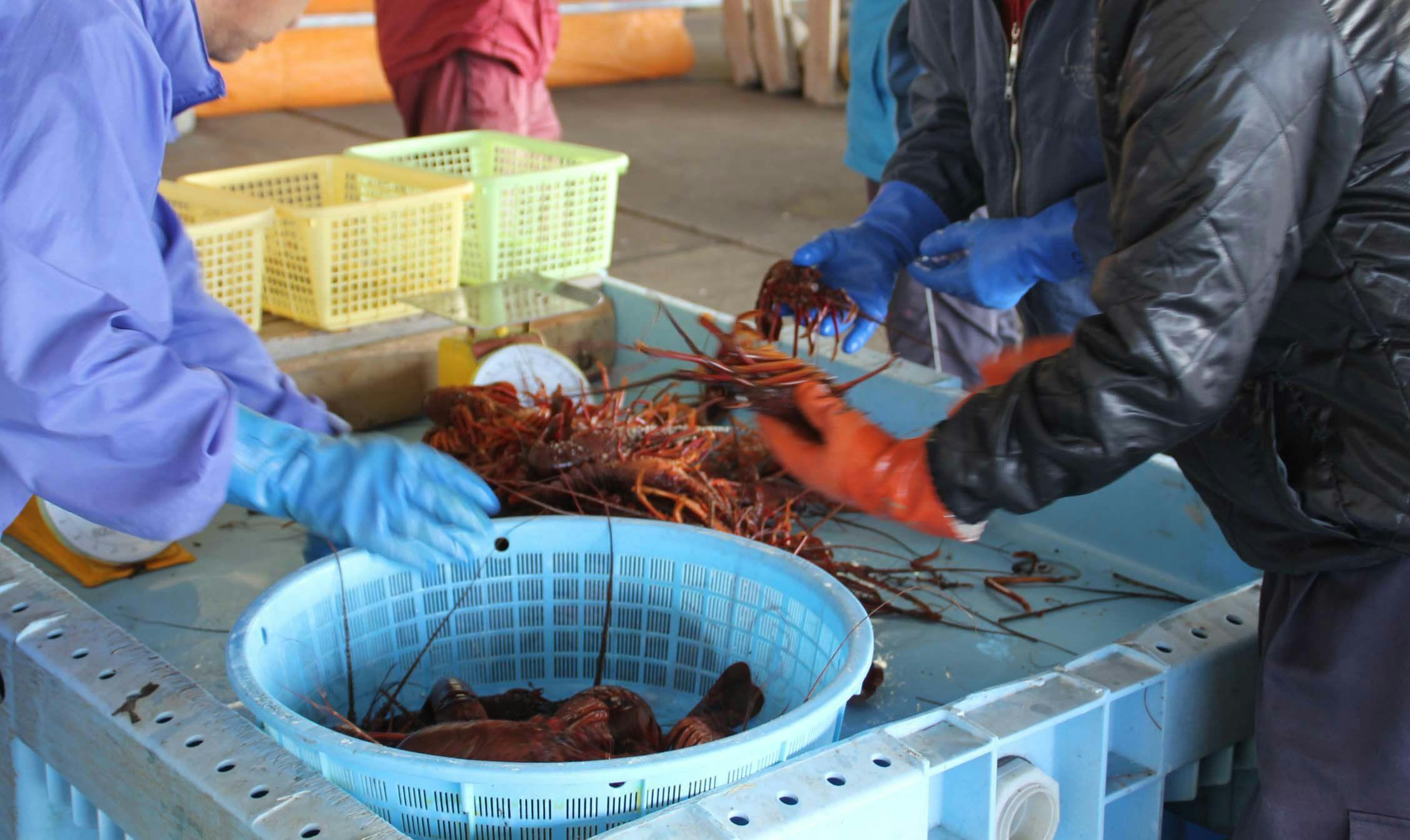 伊勢志摩　温泉掛け流しの宿　ねぼーや　志摩別邸