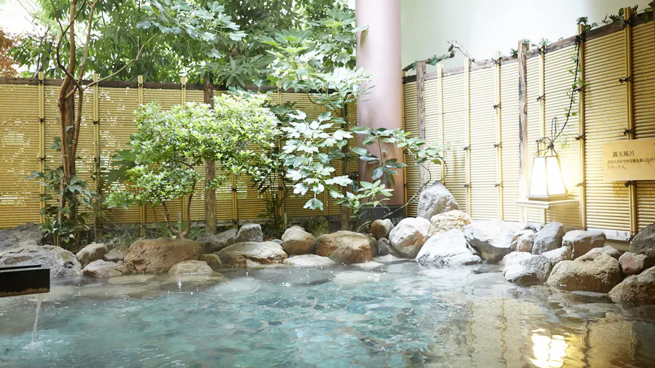 Kinugawa Onsen Hotel