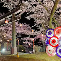 봄: 밤 벚꽃 조명 (24/3/29~4/7)