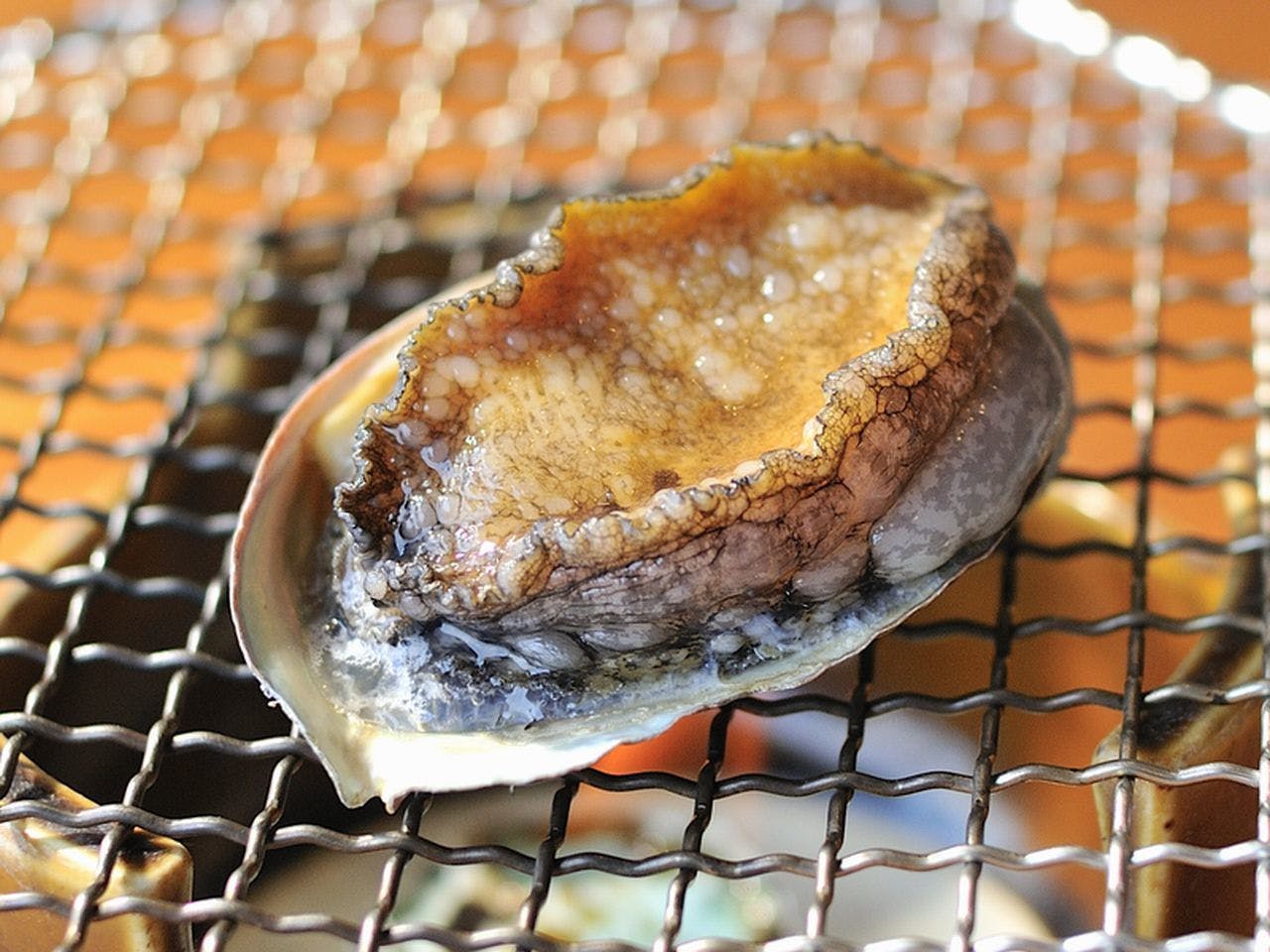 西伊豆小土肥温泉　茜色の海　あるじ栖