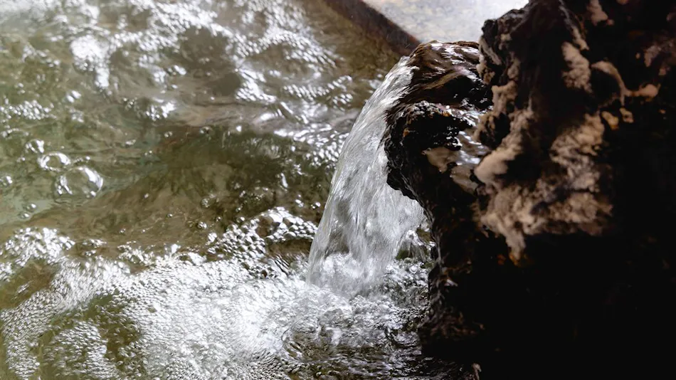 Inatori Tokai Hotel Yuen: A Scenic Hot Spring and Seafood Feast Inn
