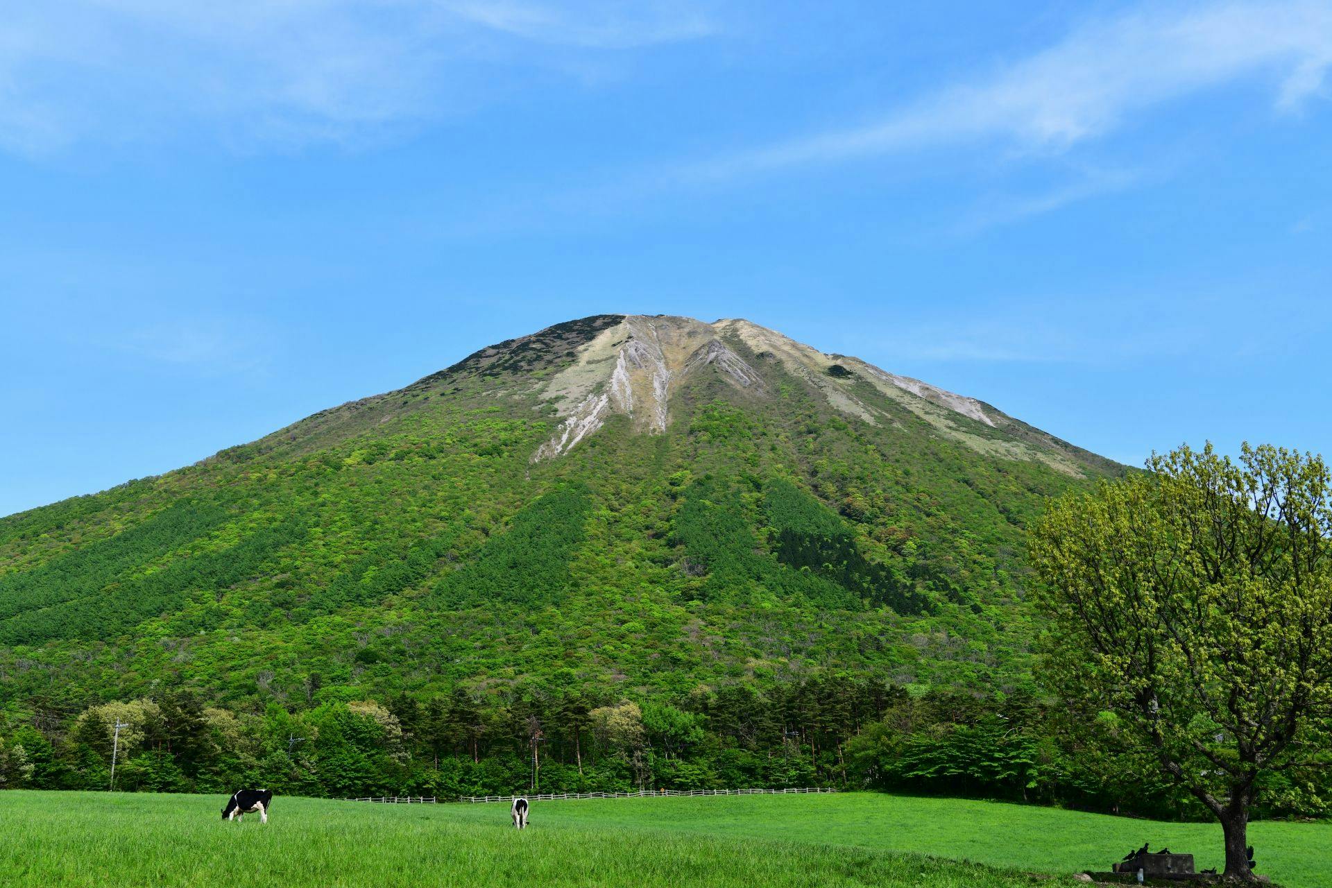 雄大な自然を拝める大山