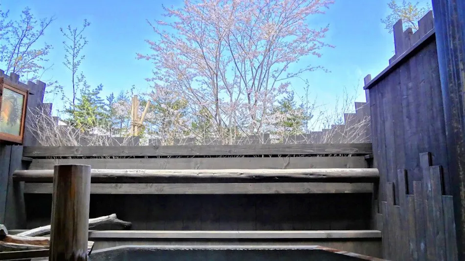 Oyado Konoha (Kyoritsu Resort)