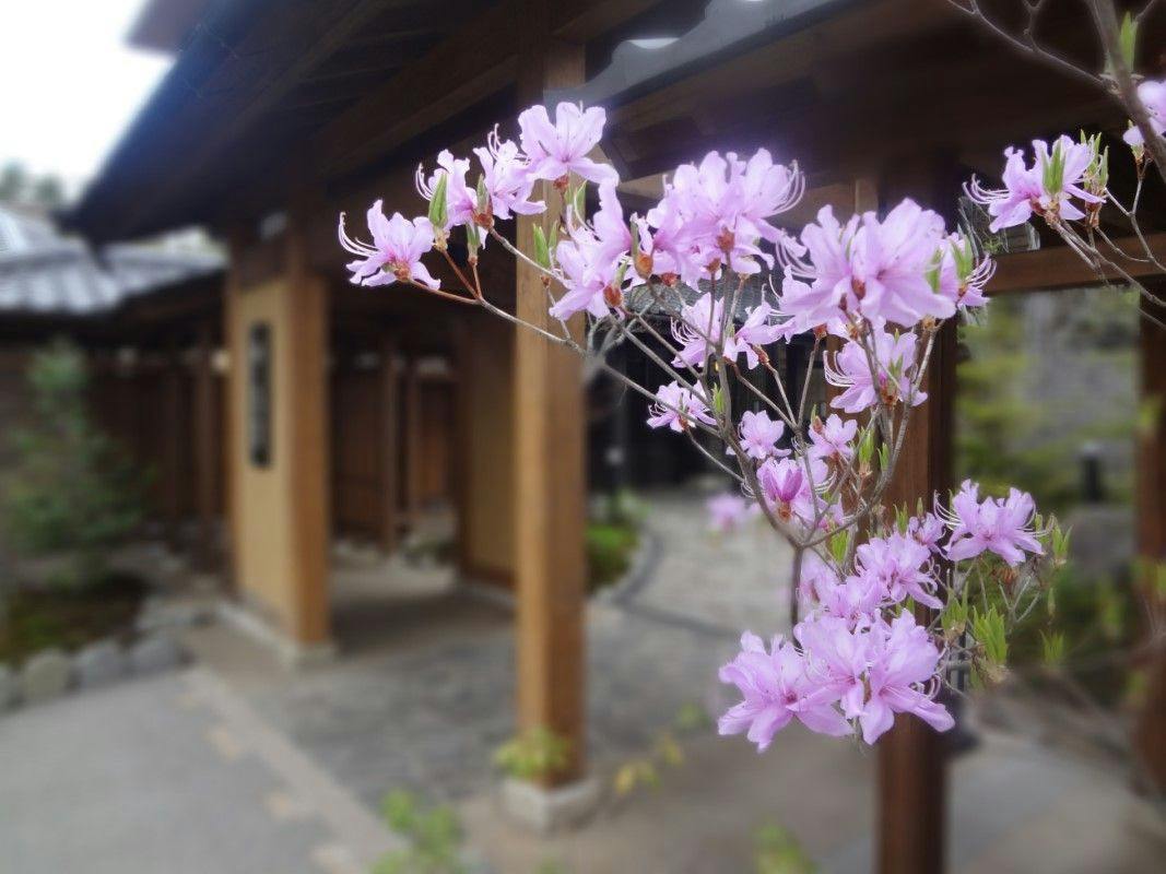 Oyado Konoha (Kyoritsu Resort)