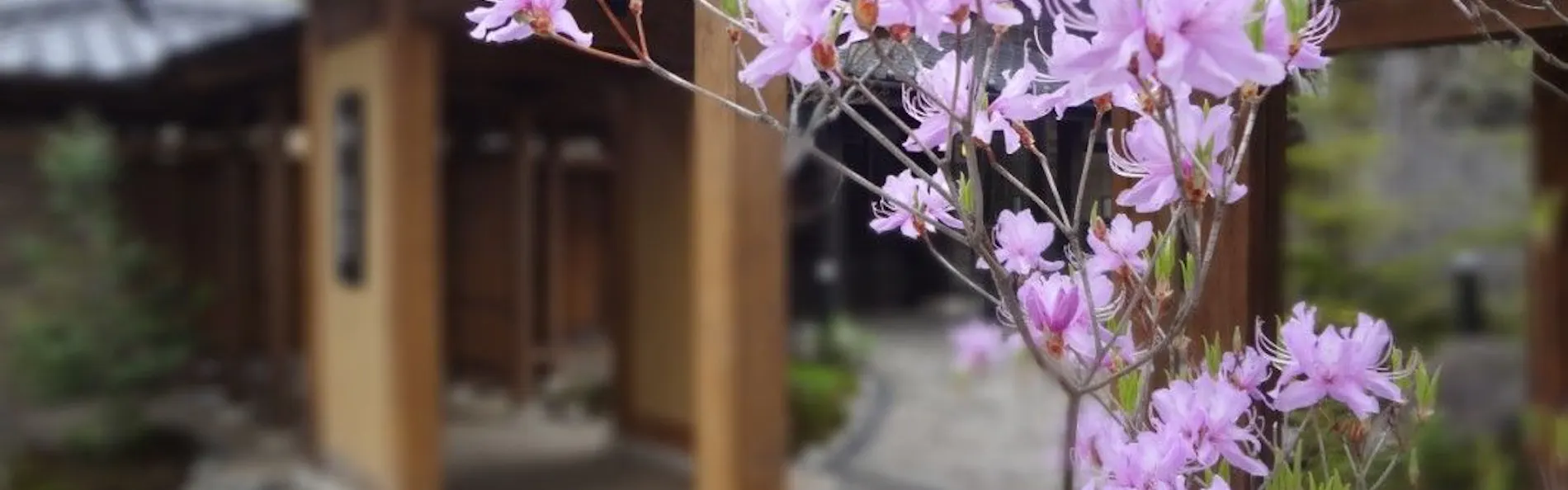 お宿 木の葉(共立リゾート)