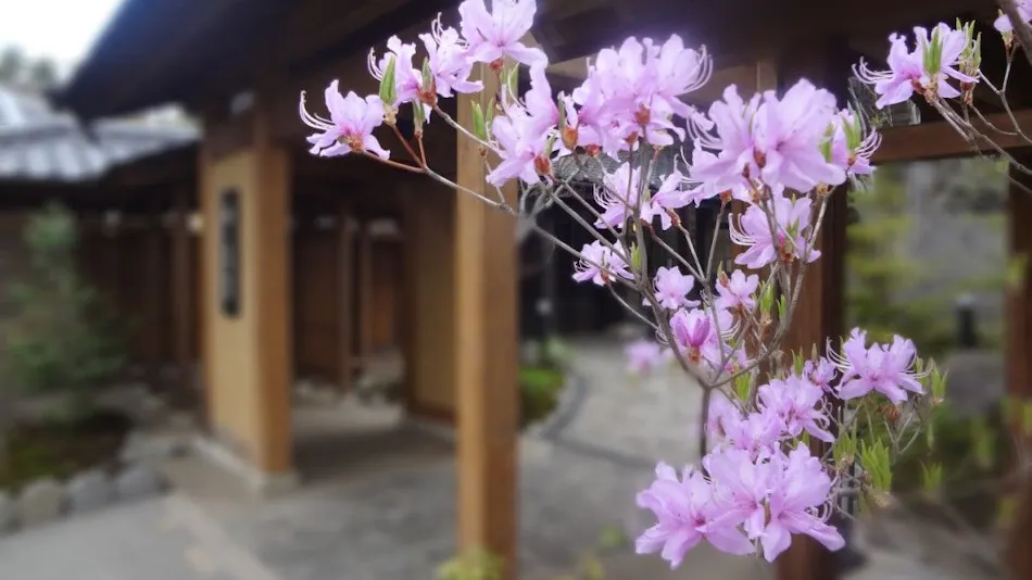 Oyado Konoha (Kyoritsu Resort)