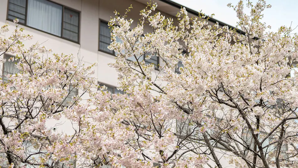 Gensen-yu no Yado Shisuitei