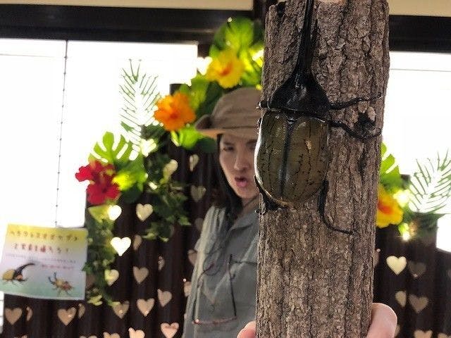 時わすれ 開華亭