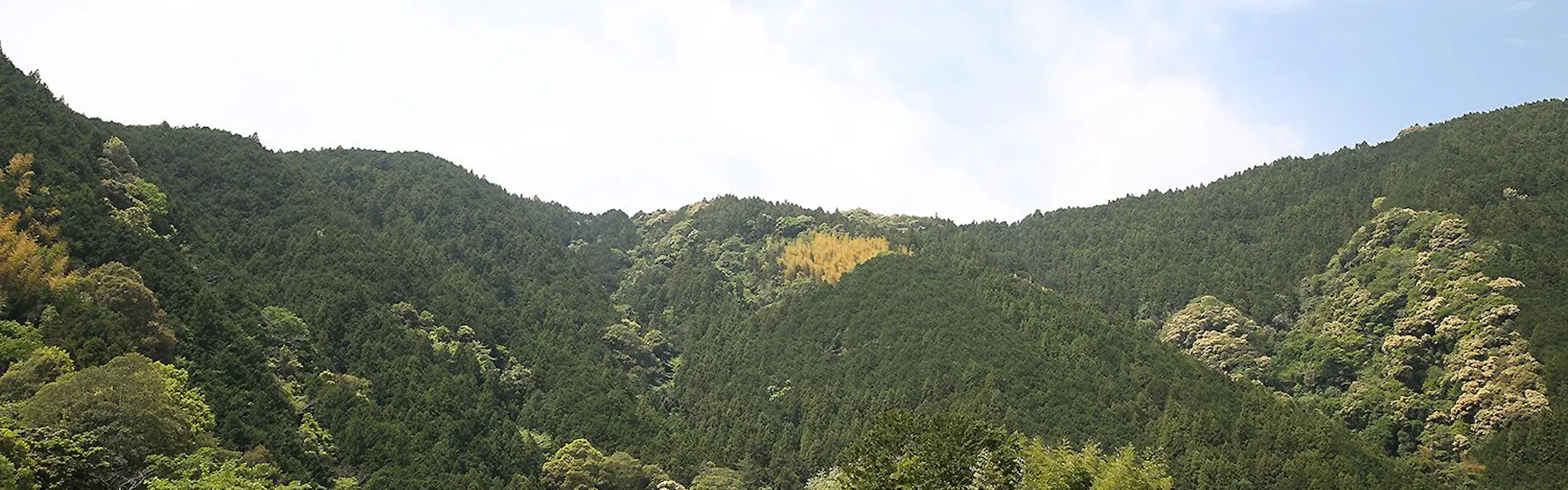 せせらぎの宿 紅竹(くれたけ)