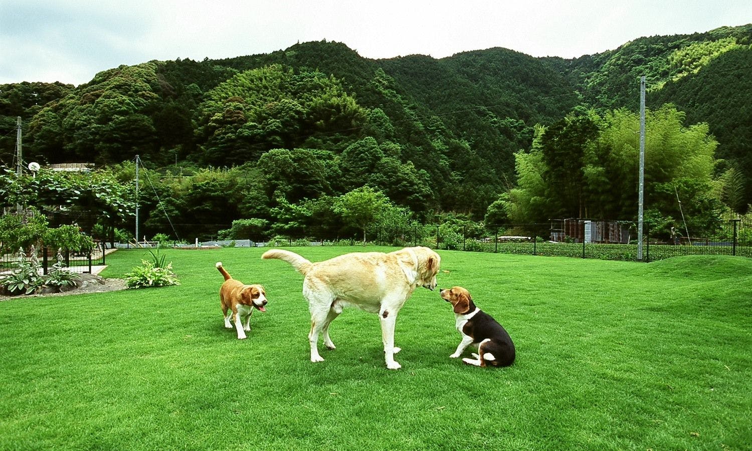 せせらぎの宿　紅竹（くれたけ）
