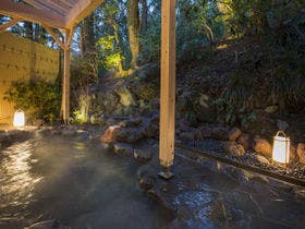 箱根小涌園　美山楓林