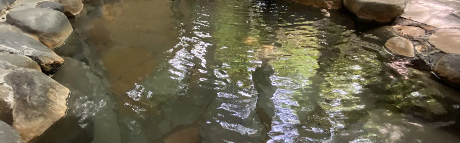 箱根小涌園 美山楓林(藤田観光リゾート)