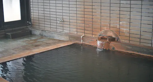 【プチ湯治プラン】湯治文化に触れ、一泊でも味わえる昔ながらの湯治気分。お食事控えめ/1泊2食付