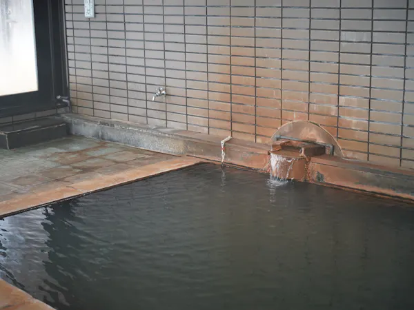 【プチ湯治プラン】湯治文化に触れ、一泊でも味わえる昔ながらの湯治気分。お食事控えめ/1泊2食付
