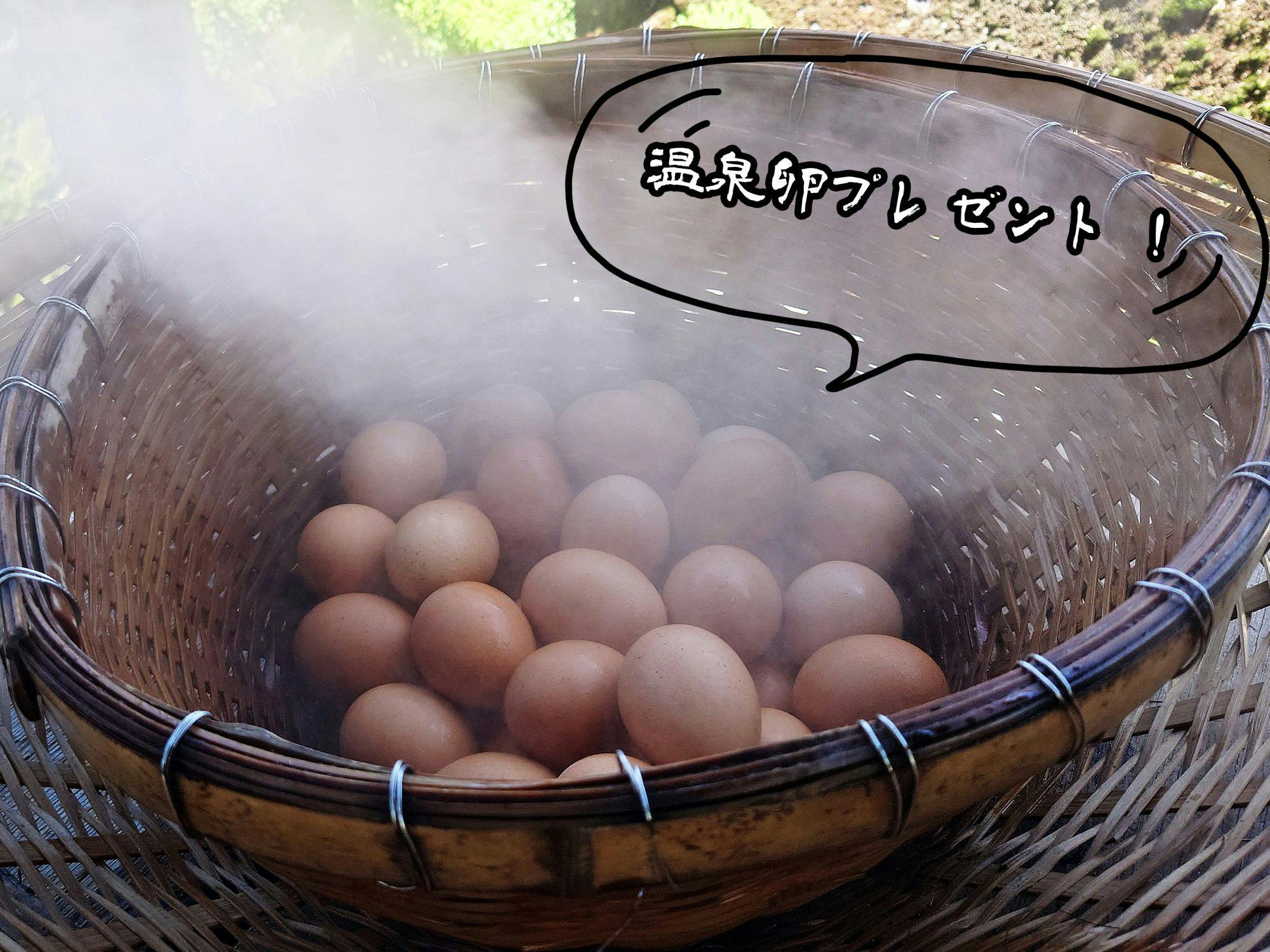 แผนพร้อมไข่น้ำพุร้อนและสุราให้เลือก