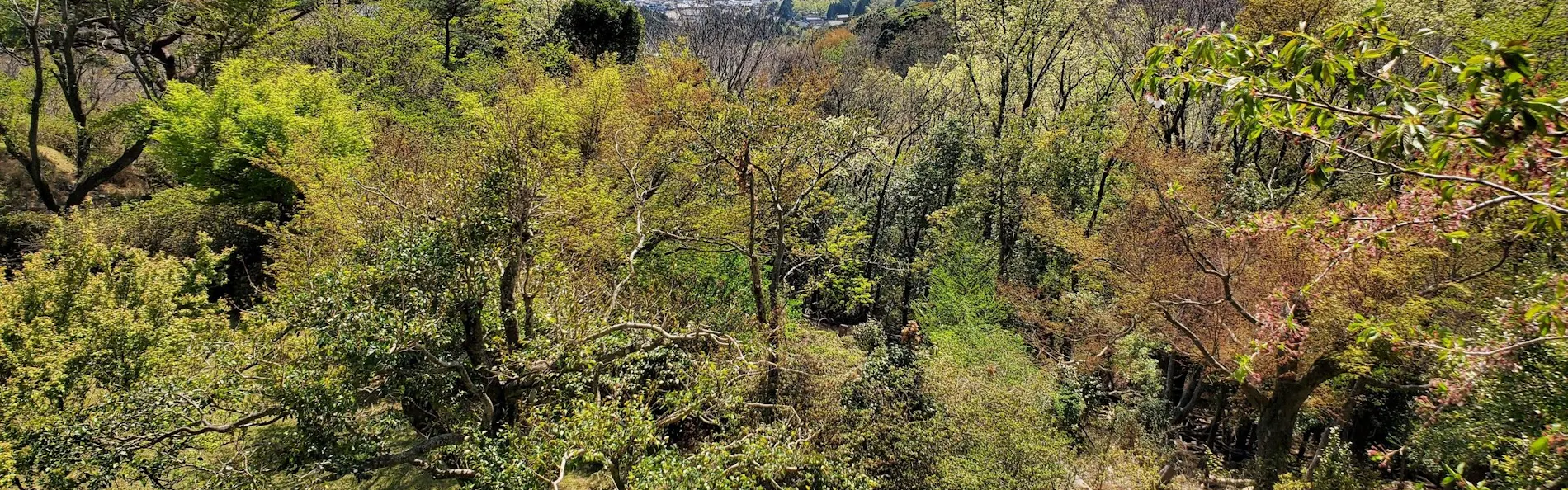 旅行人山荘
