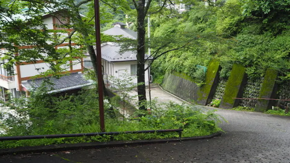 Nigori-yu no Yado Akagi Onsen Hotel