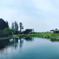 บ่อปลาตกโอซากิ