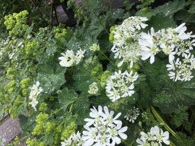 プチホテル＆レストラン　オールドエイジ