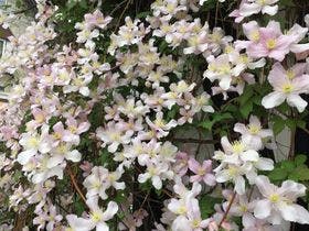 プチホテル＆レストラン　オールドエイジ