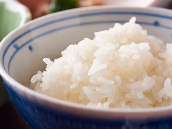 【1泊朝食付】庄内産野菜とつや姫ごはんが美味しい!