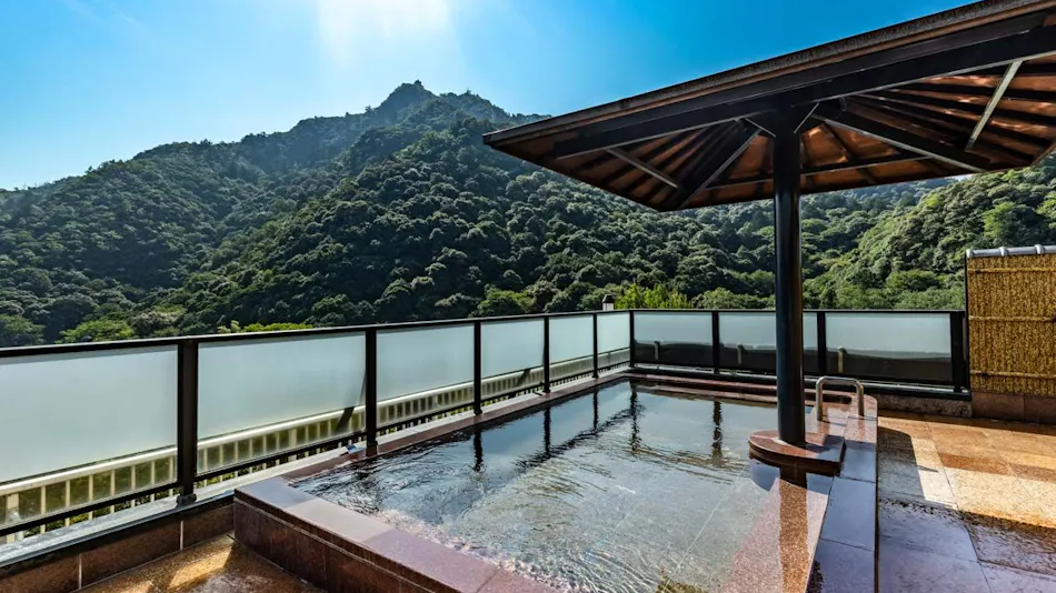 Nagaragawa Onsen Hotel Park