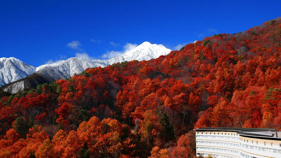 AZUMINO KOGEN RESORT