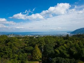 別府温泉 Hotel芙蓉倶楽部