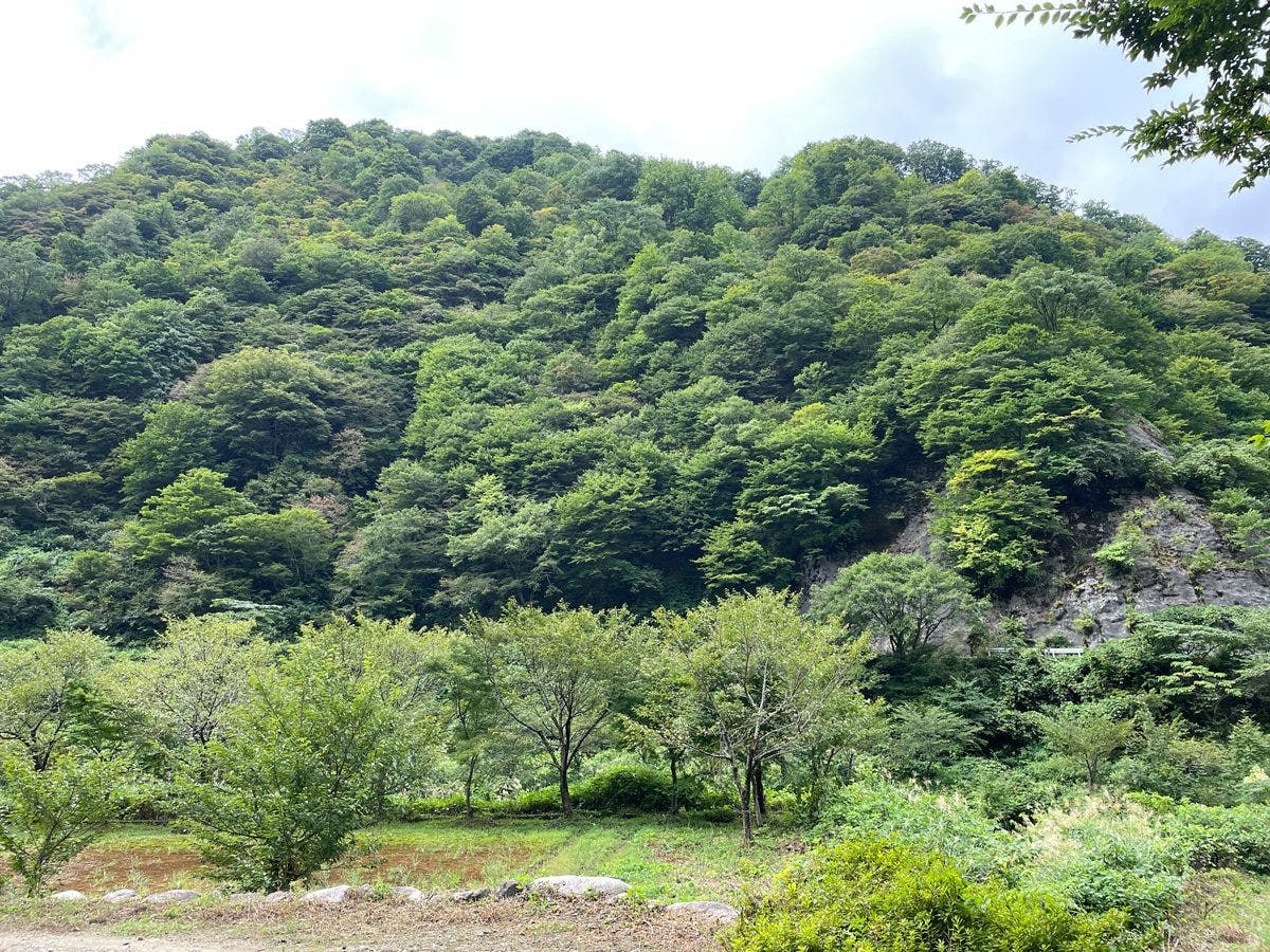 小川温泉元湯 ホテルおがわ