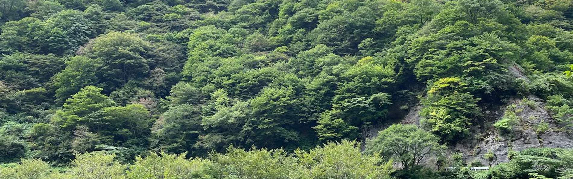 小川温泉元湯 ホテルおがわ