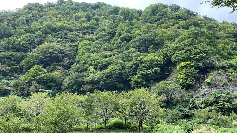 Ogawa Onsen Motoyu Hotel Ogawa