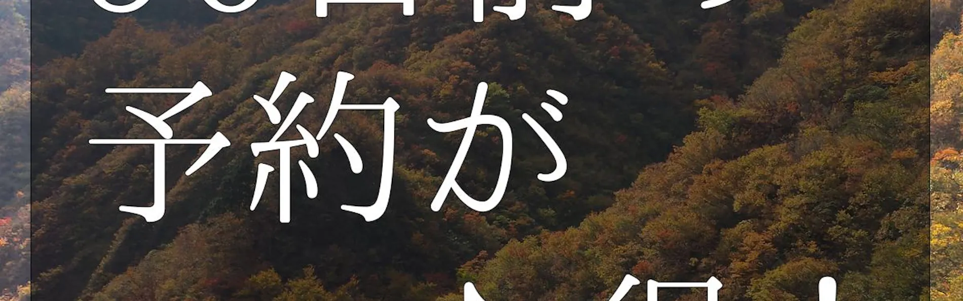 小川温泉元湯 ホテルおがわ