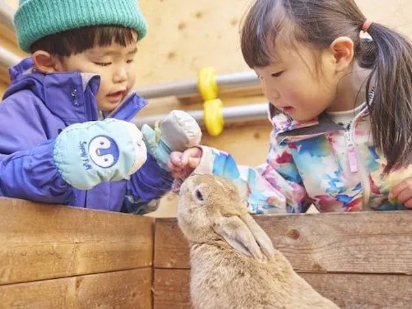 【幼児無料】冬遊びキッズプラン