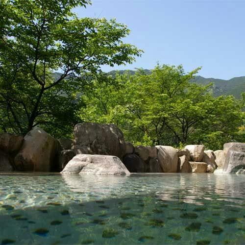 望川館イチオシ　飛騨牛1品付季節の会席料理と日本三名泉堪能のんびりプラン